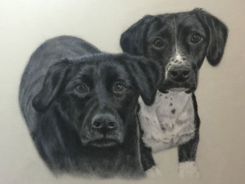 drawing of dogs