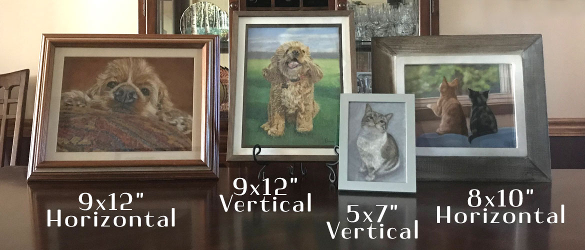 pet portrait sizes