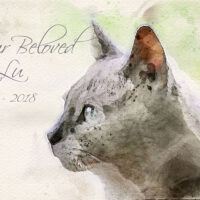 cat watercolor memorial