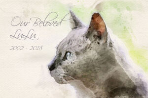 cat watercolor memorial