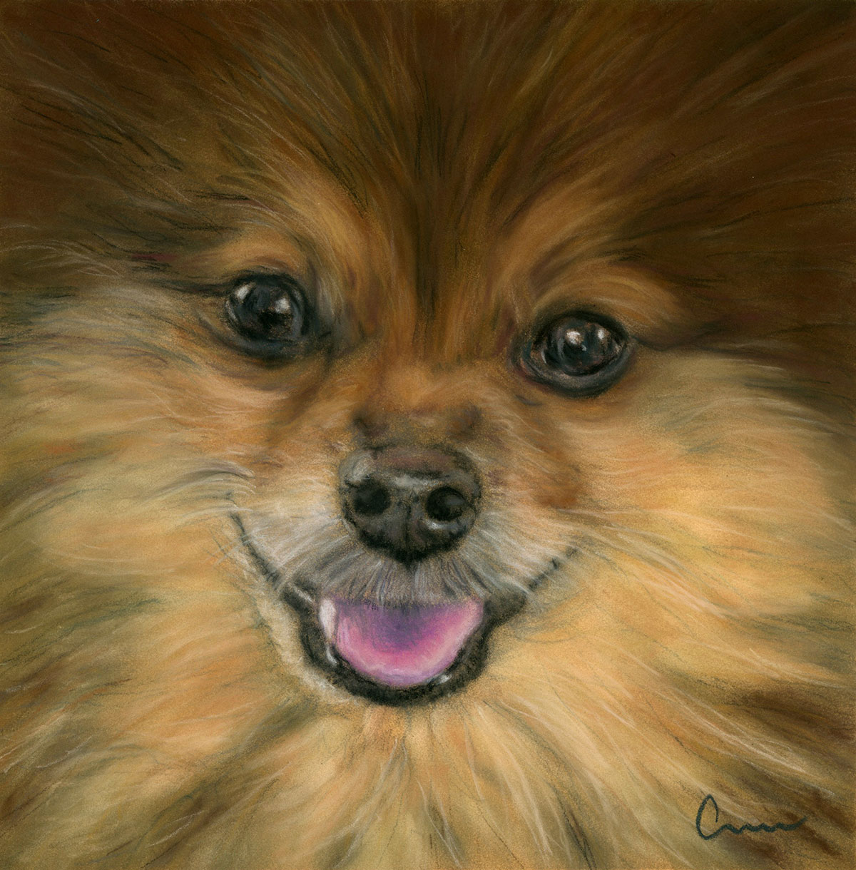 pomeranian art