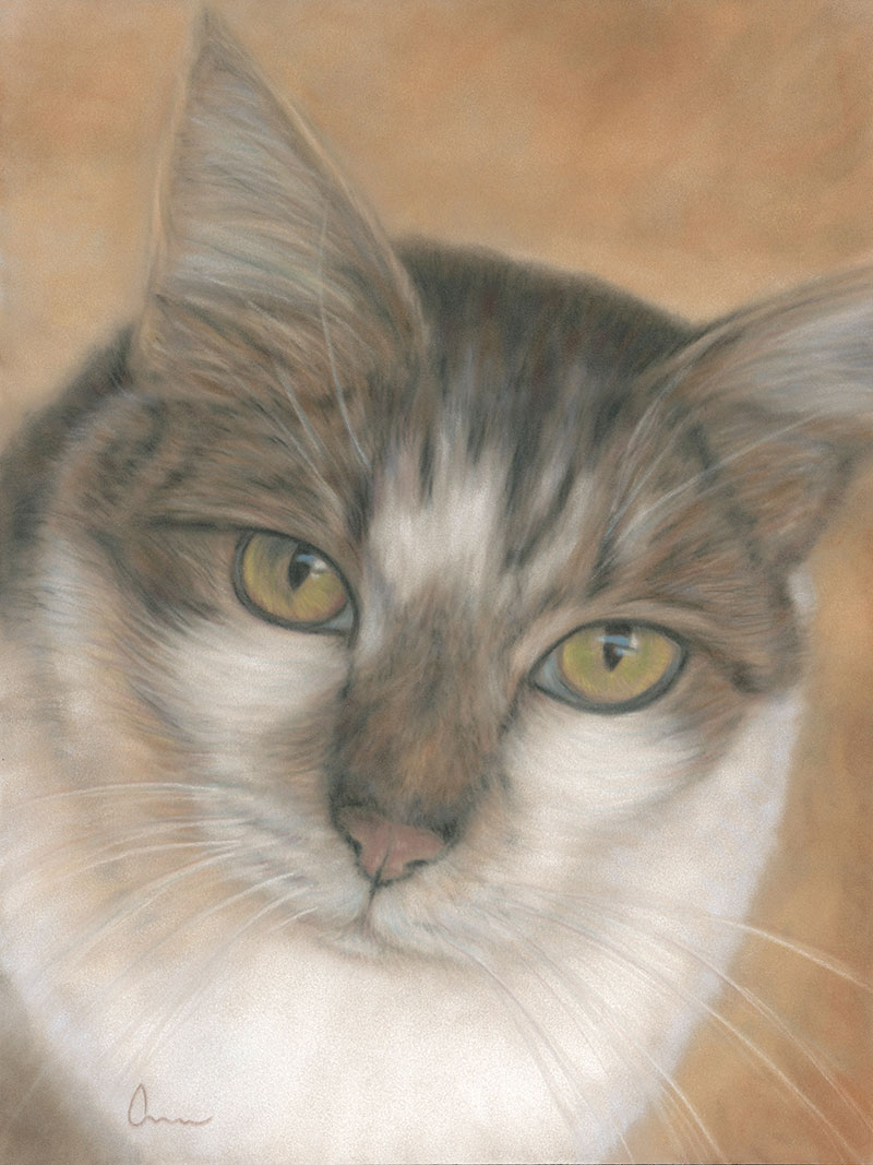 tabby cat painting